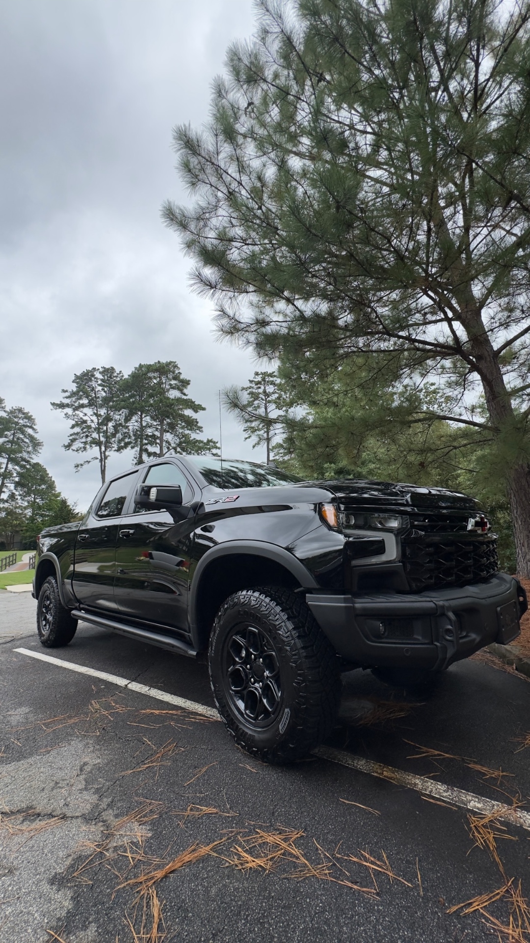 Blacked-out Silverado ZR2 detail